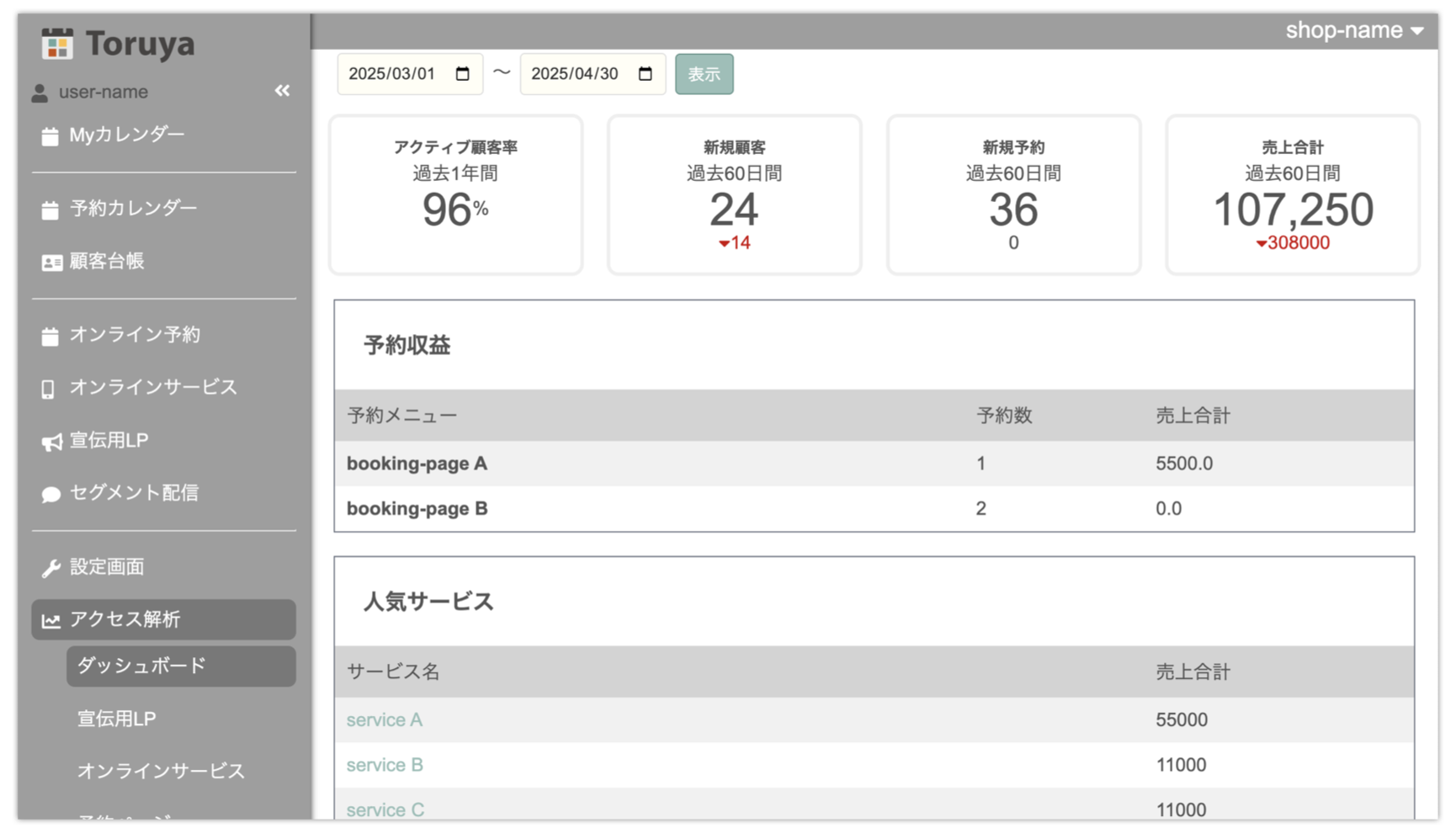 Toruyaアクセス解析画面例
