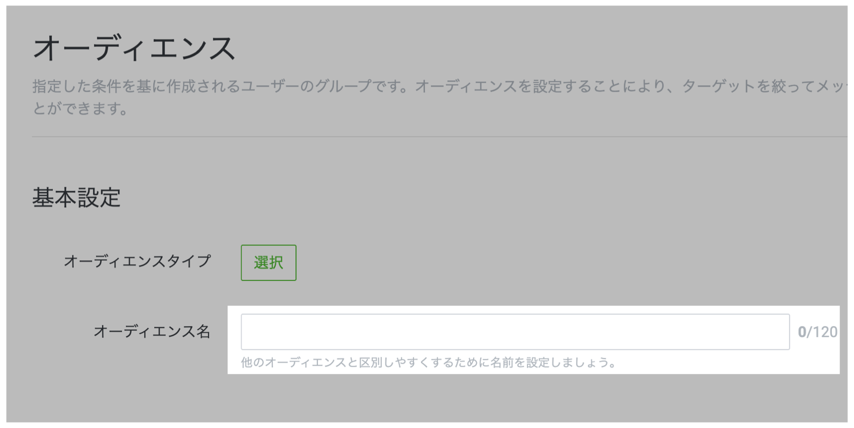 オーディエンス名の入力
